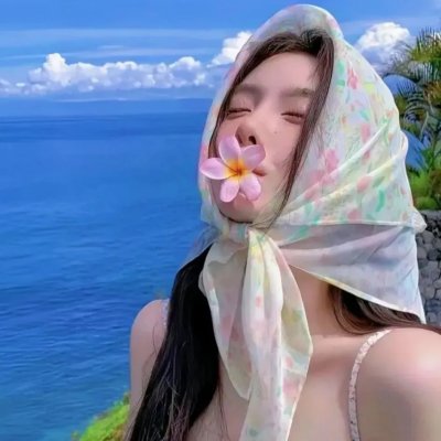 鬣狗之路